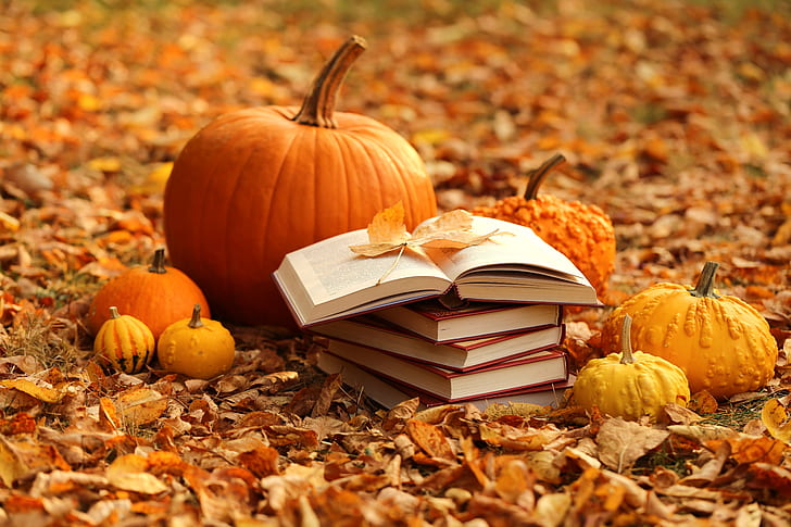 autumn-leaves-books-harvest-pumpkin-hd-wallpaper-preview.jpg